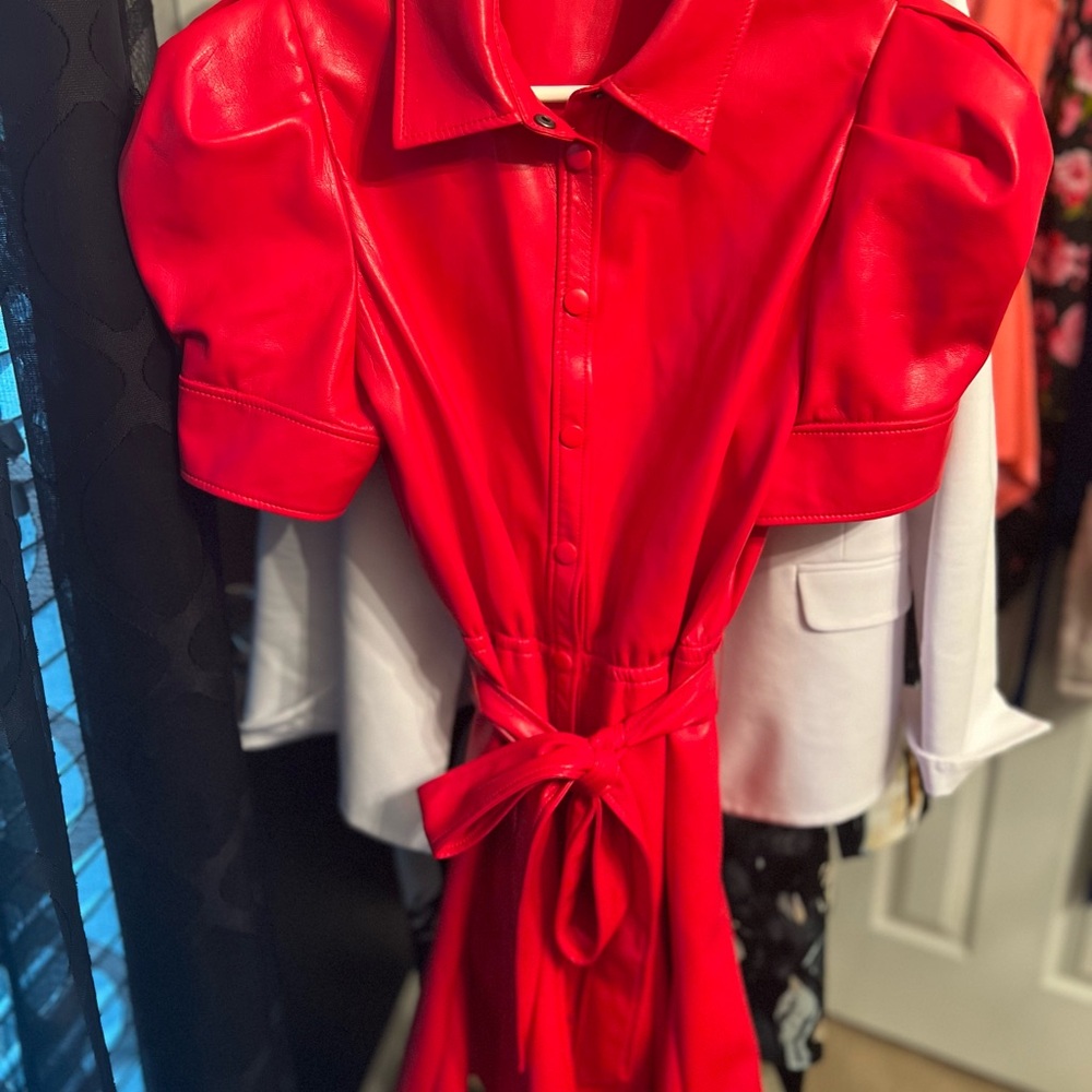 Alice + Olivia dress